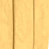 sleek mustard all over