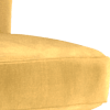 sleek mustard all over