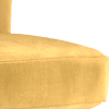 sleek mustard all over