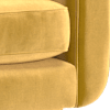sleek mustard all over