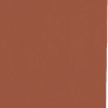 BRIDGERTON ETCHED VELVET RUST ALL OVER