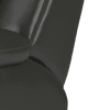 trusty sheen leather jet black