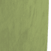 matt velvet olive all over