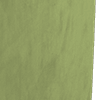 THE STRAND MATT VELVET OLIVE ALL OVER