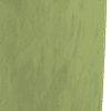 THE STRAND MATT VELVET OLIVE ALL OVER