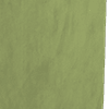 matt velvet olive all over