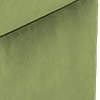 matt velvet olive all over