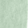 soft textured chenille eucalyptus all over