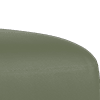 trusty matt leather olive