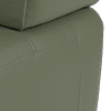 TRUSTY MATT LEATHER OLIVE