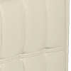 TRUSTY SHEEN LEATHER BONE CHINA