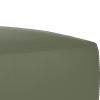 trusty-matt leather olive