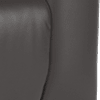 trusty sheen leather charcoal