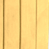 sleek mustard all over