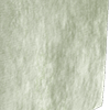 luxury chenille sage all over