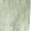 luxury chenille sage all over