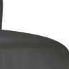 trusty soft sheen leather charcoal