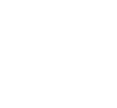 Call us phone icon
