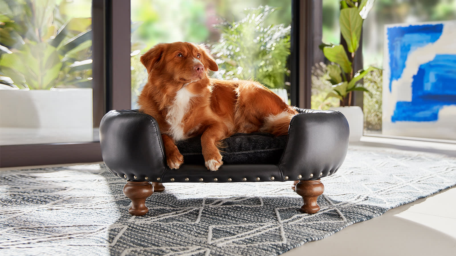 Sofology Dog Sofa