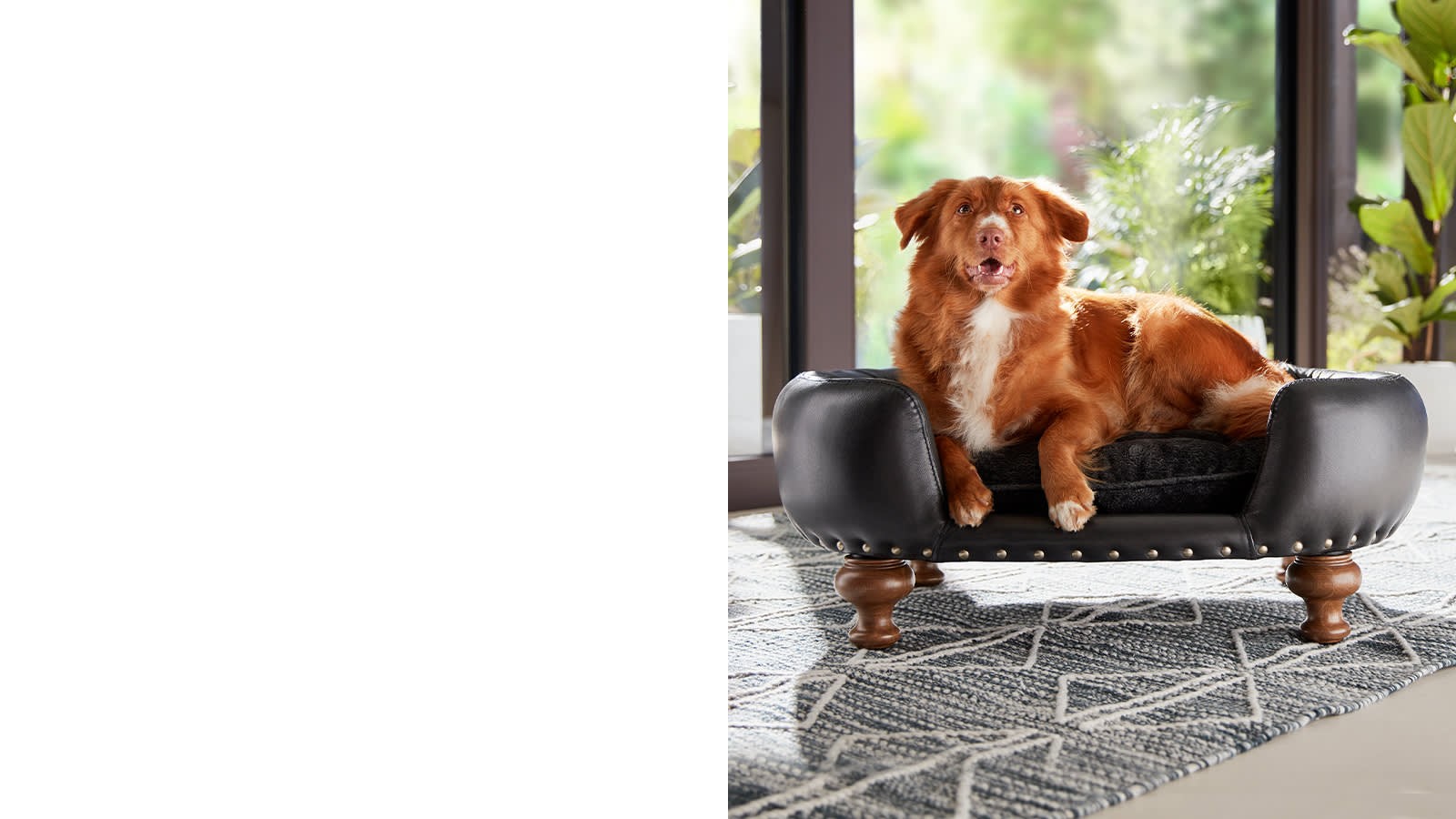 Sofology dog sofa