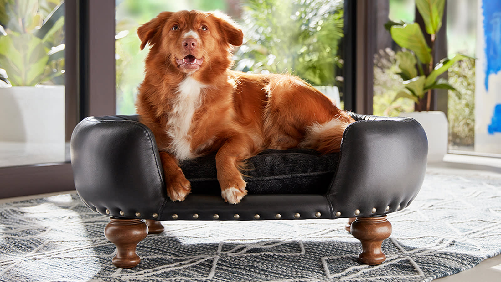 Dog Sofas Sofology, Leather Dog Couch