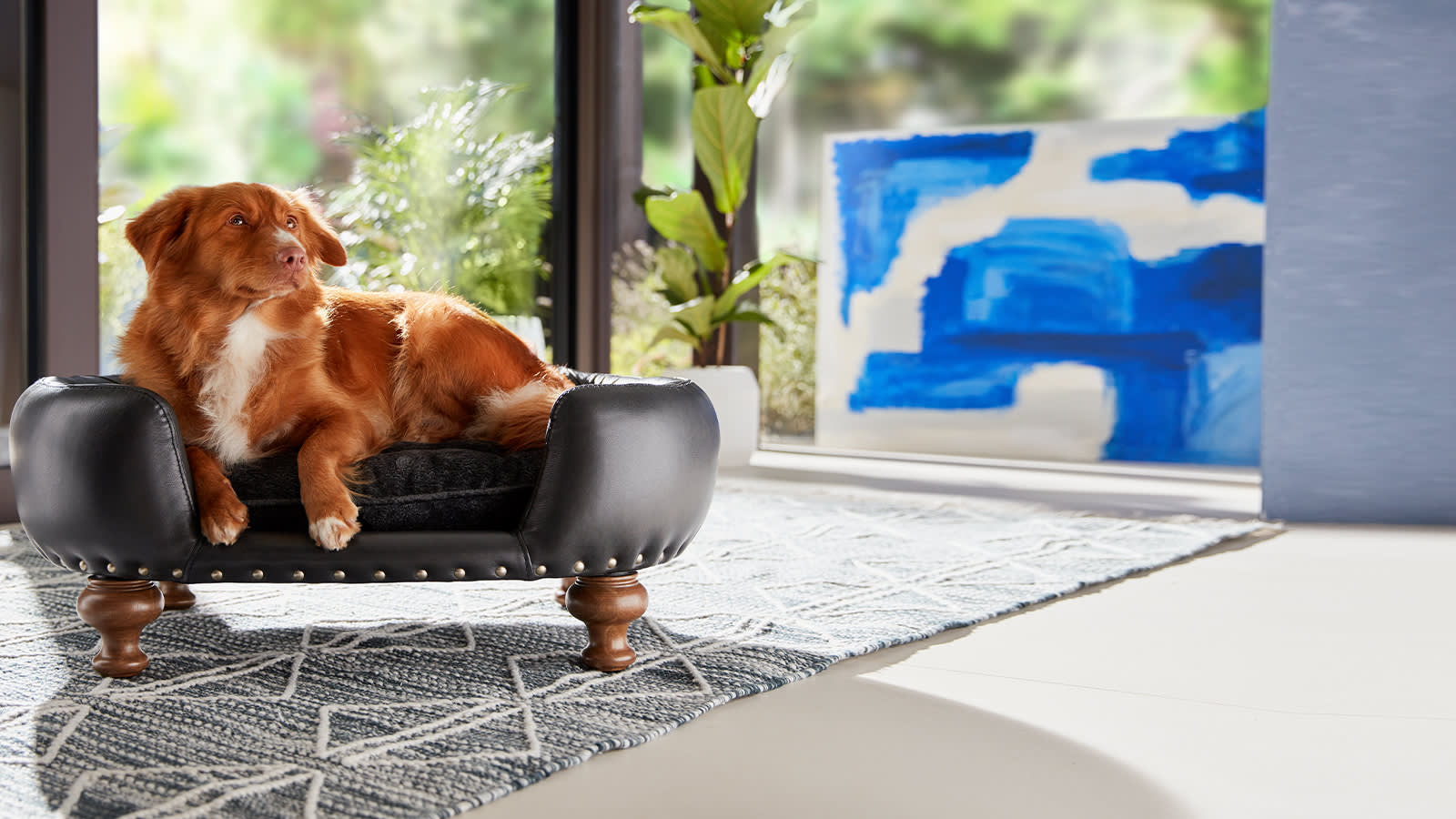 Sofology Dog Sofa