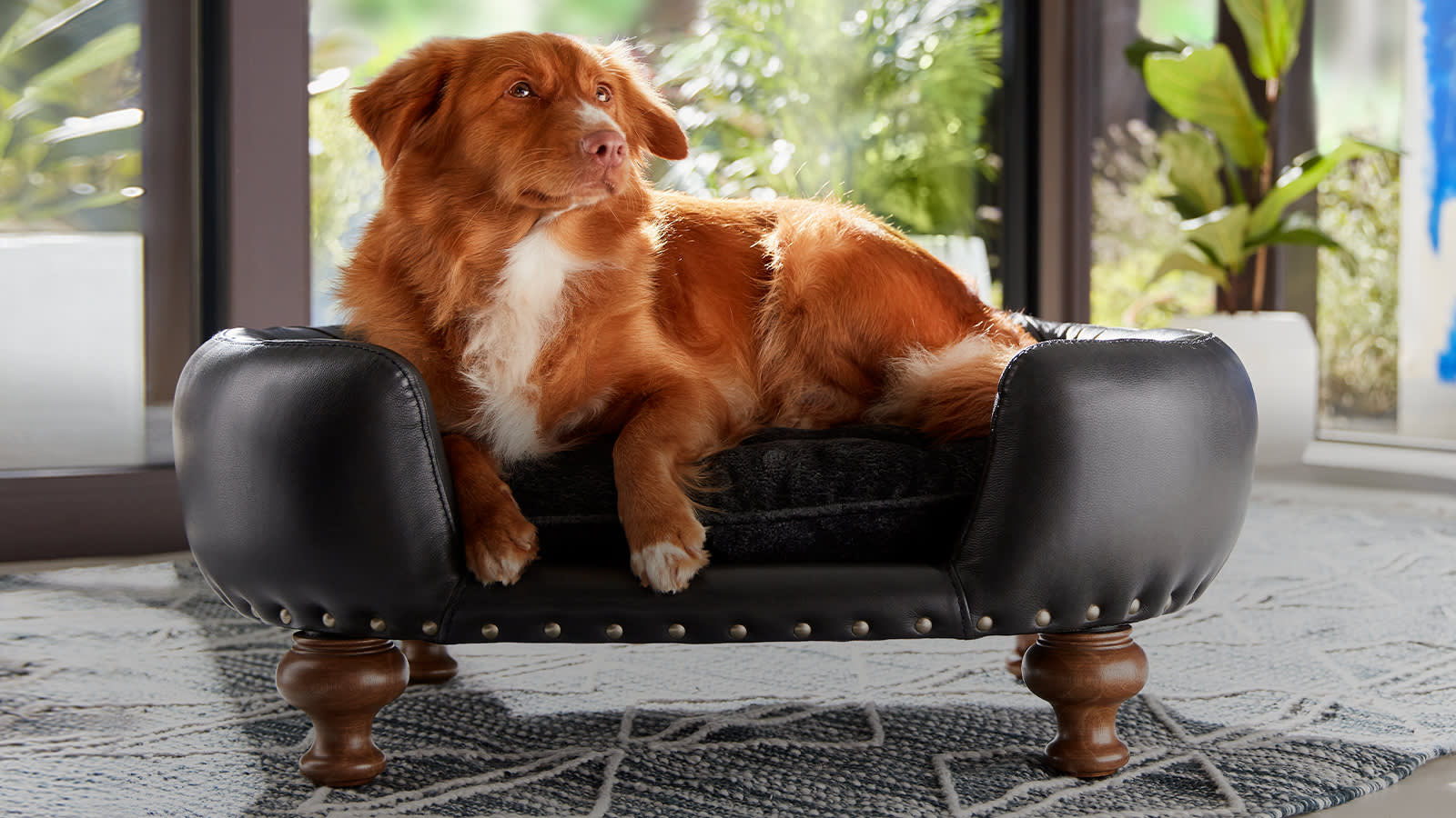 Sofology Dog Sofa