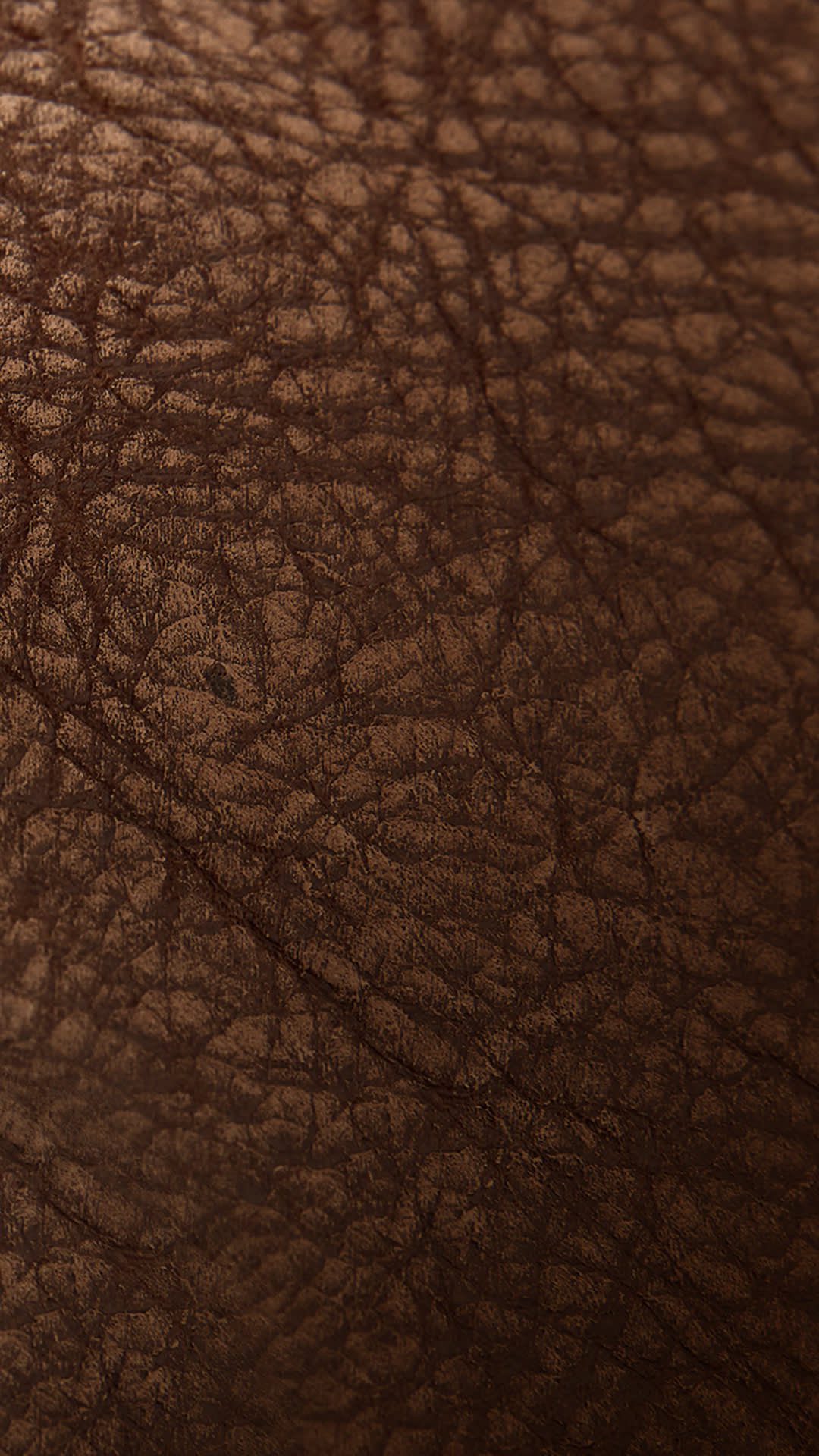 Sofology Leather Policy