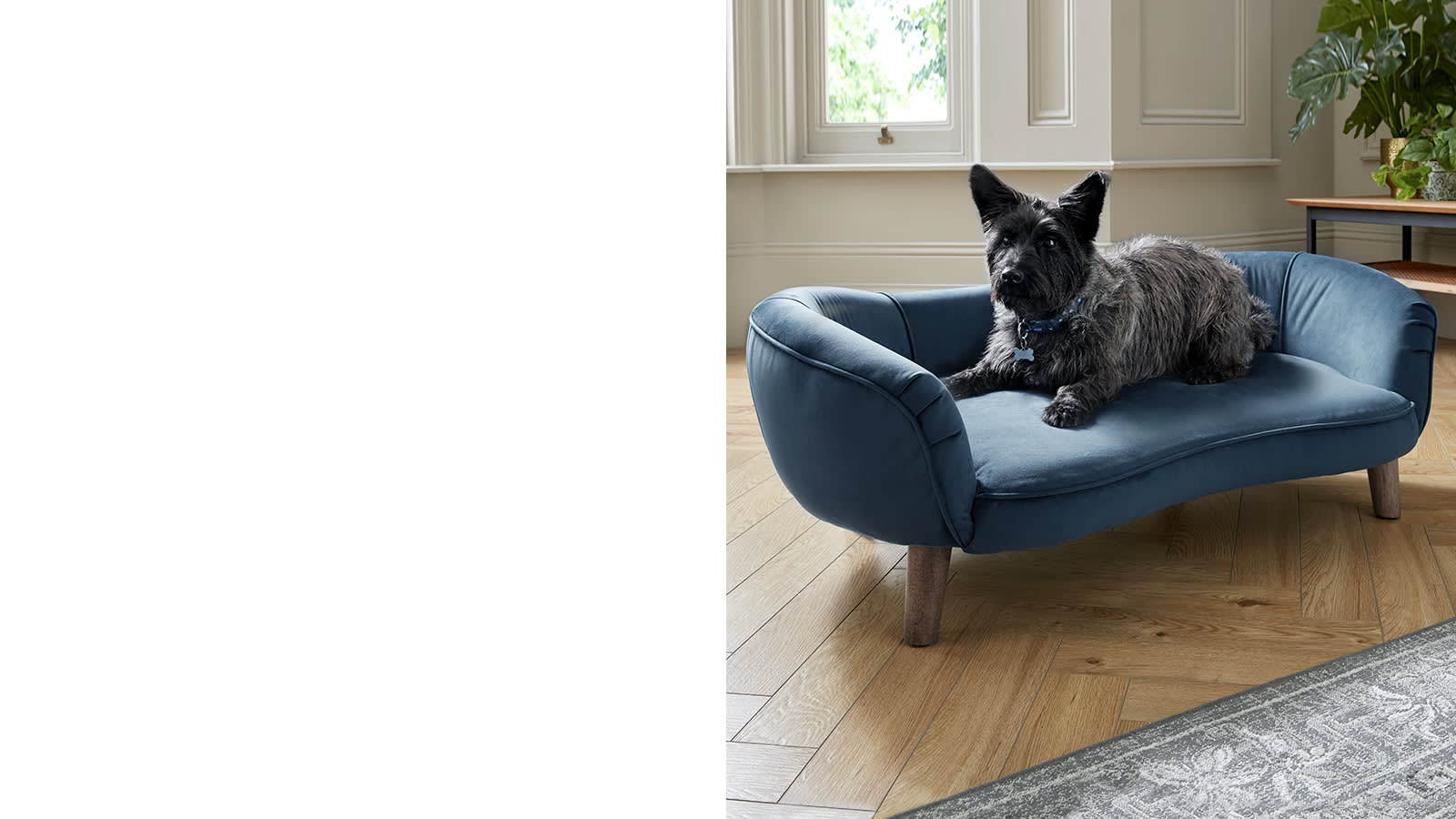 The Sofology Perle Dog Sofa