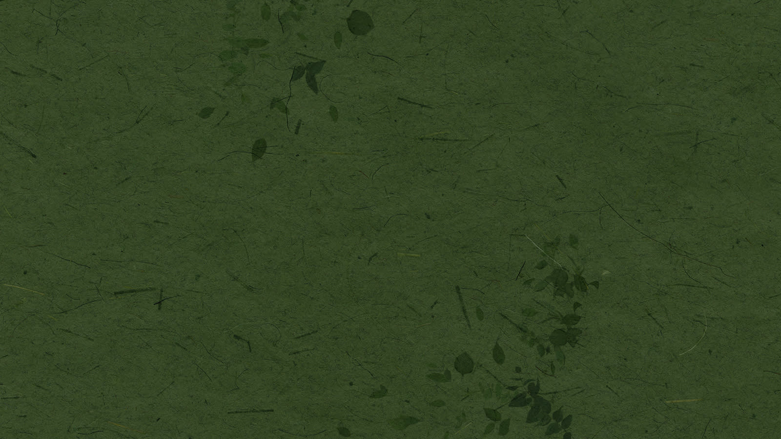 Green paper background with leaves