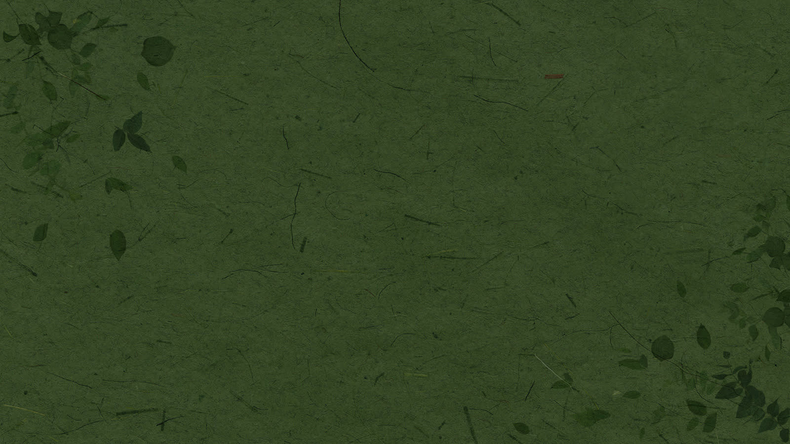 Green paper background with leaves