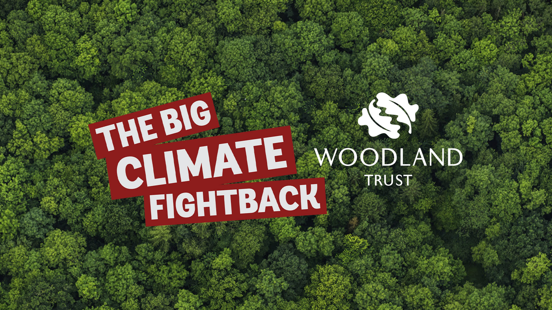 Woodland Trust Climate Fightback Sofology