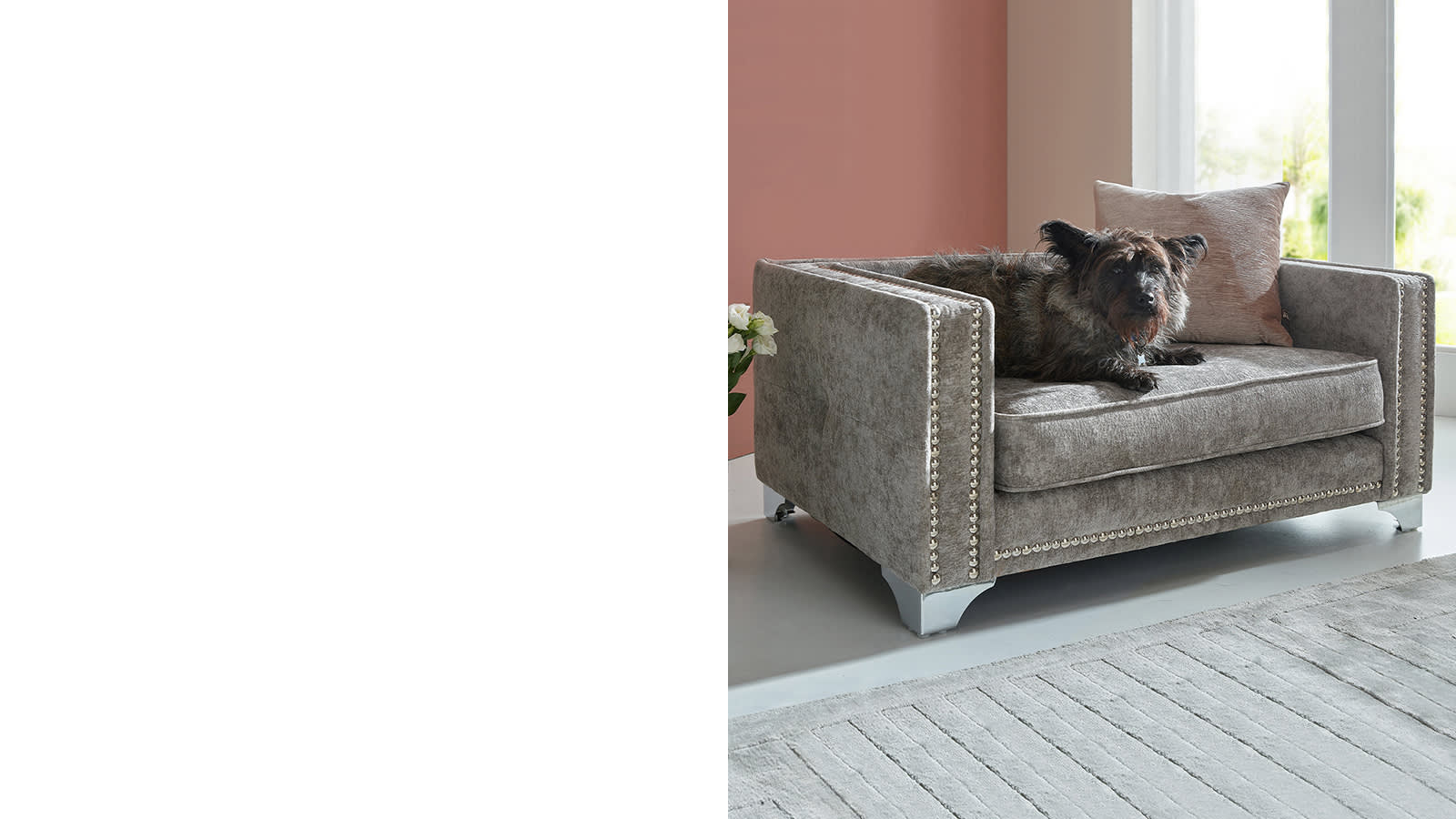 Dog Sofas | Sofology