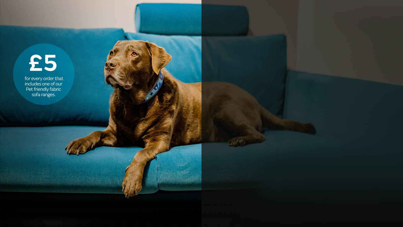 BlueCross £5 Donation with Sofology