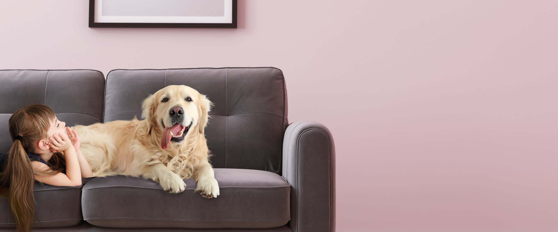 Pet friendly sofas
