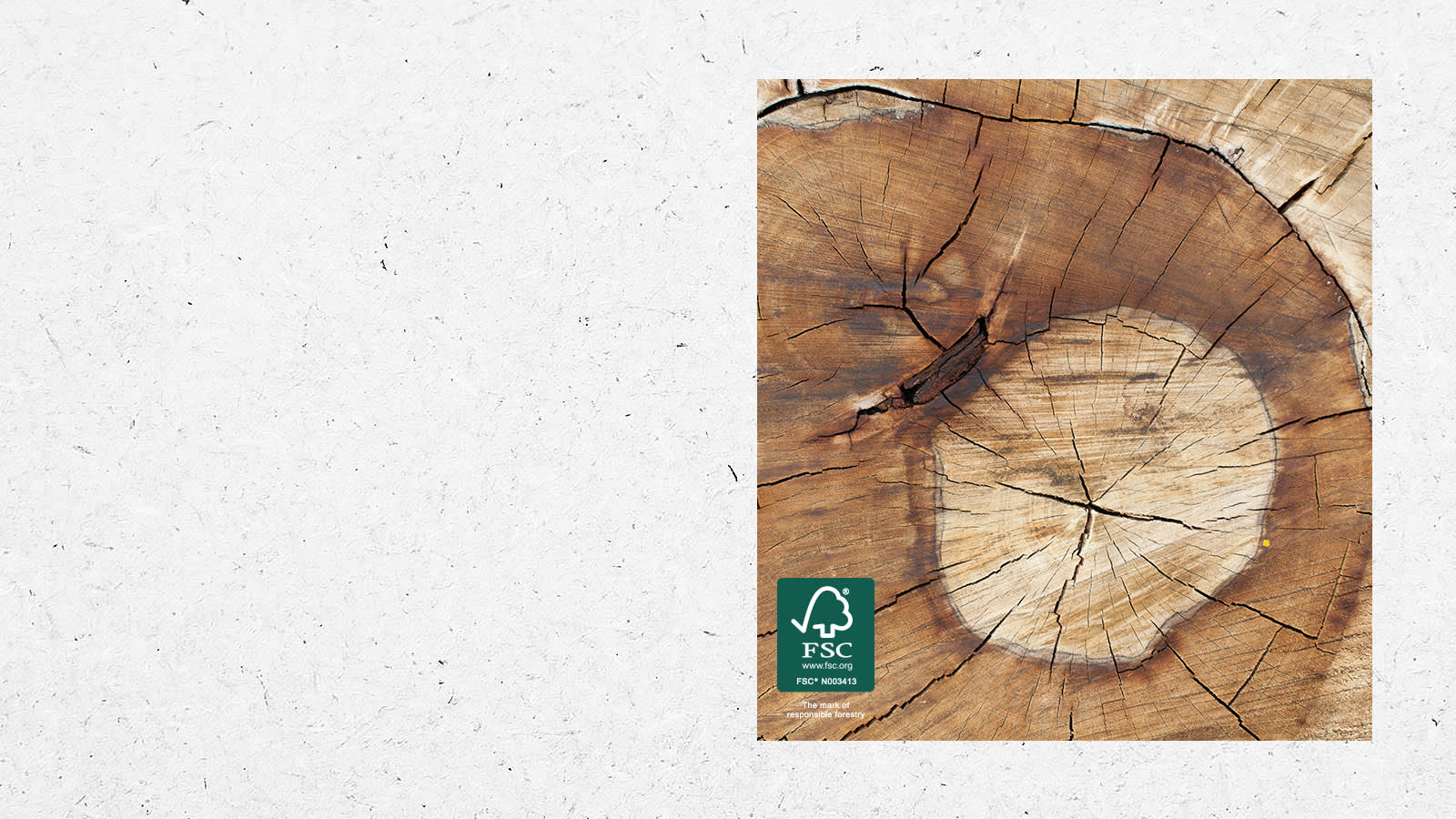 Timber policy