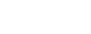 Holiday icon