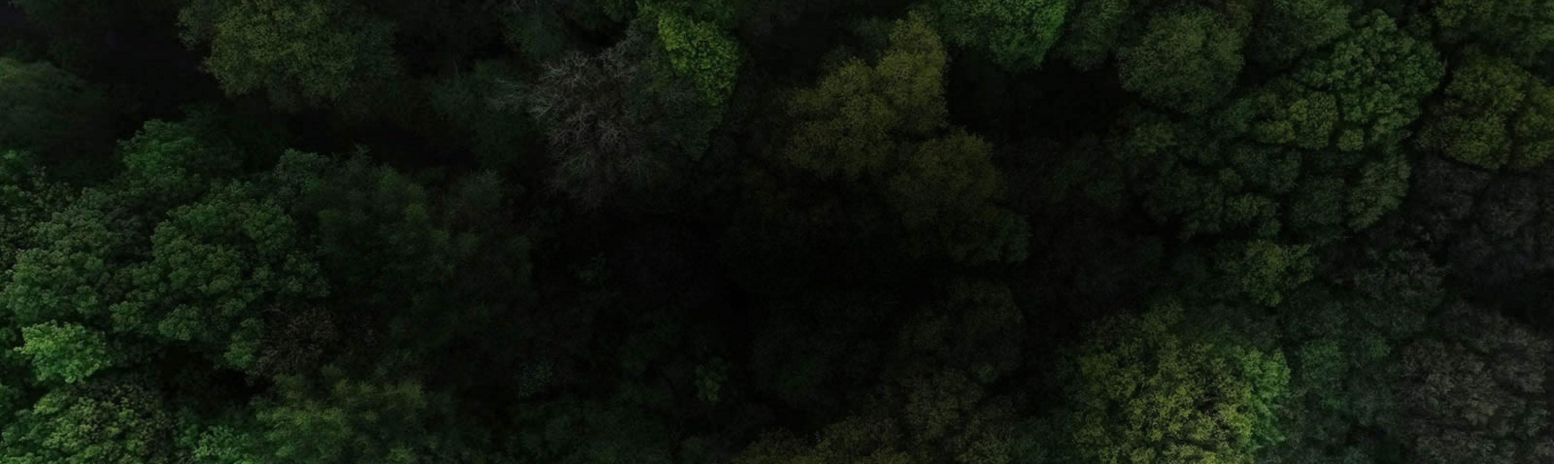 PlanTree