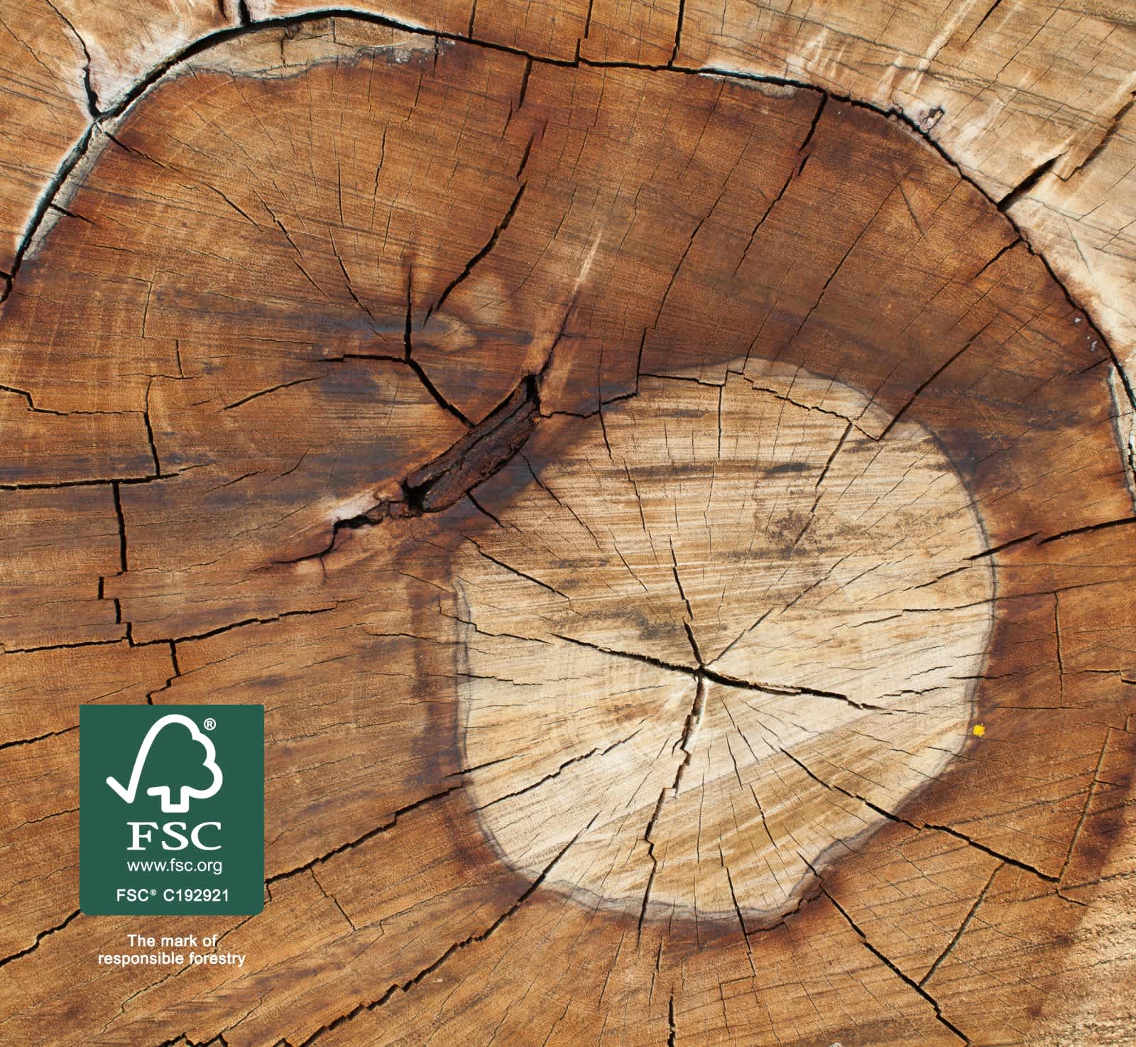 Sustainable timber sourcing