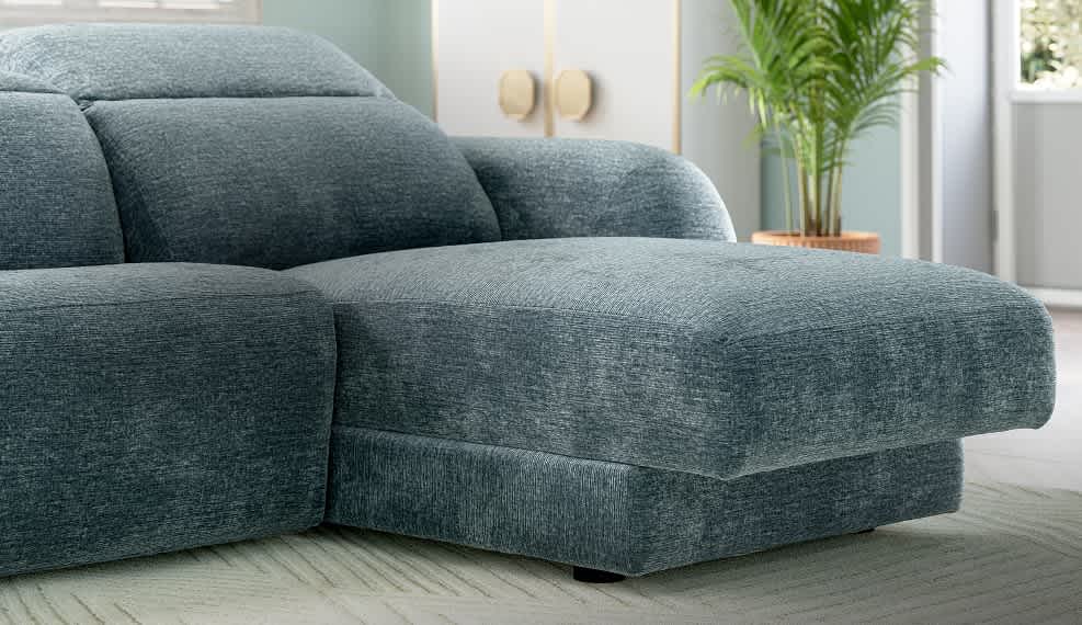 Meet our new arrivals