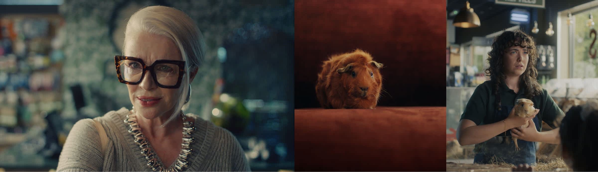 A picture of a stylish woman, a stylish guinea pig and a person holding a guinea pig as part of our 'fussy' campaign