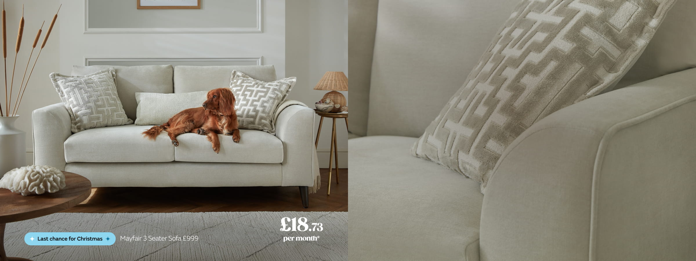 Our fussy favourites