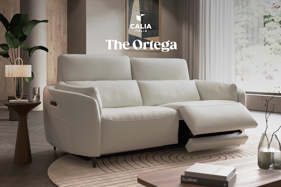Video Thumb of ortega