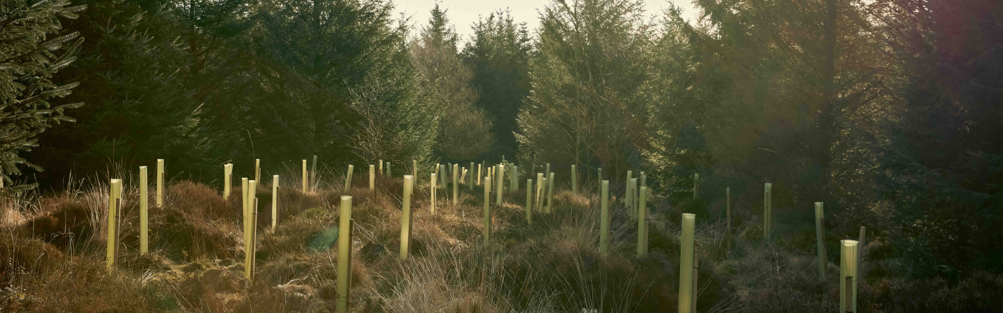 Our Environmental Policy