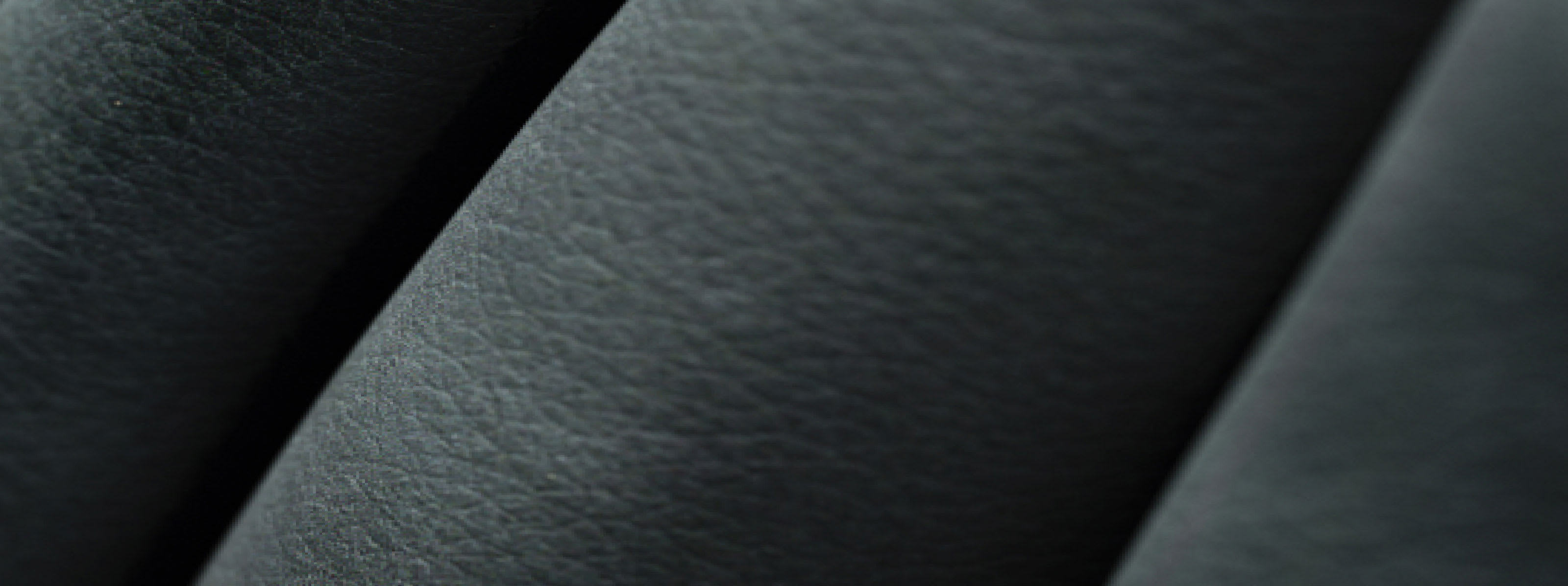 Sustainable leather sourcing