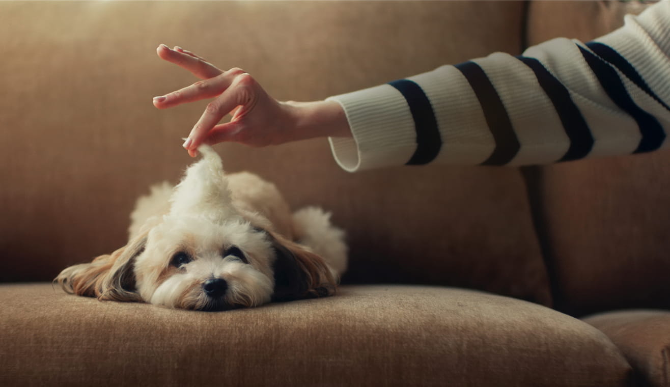 Attention fusspots: Our new TV ad