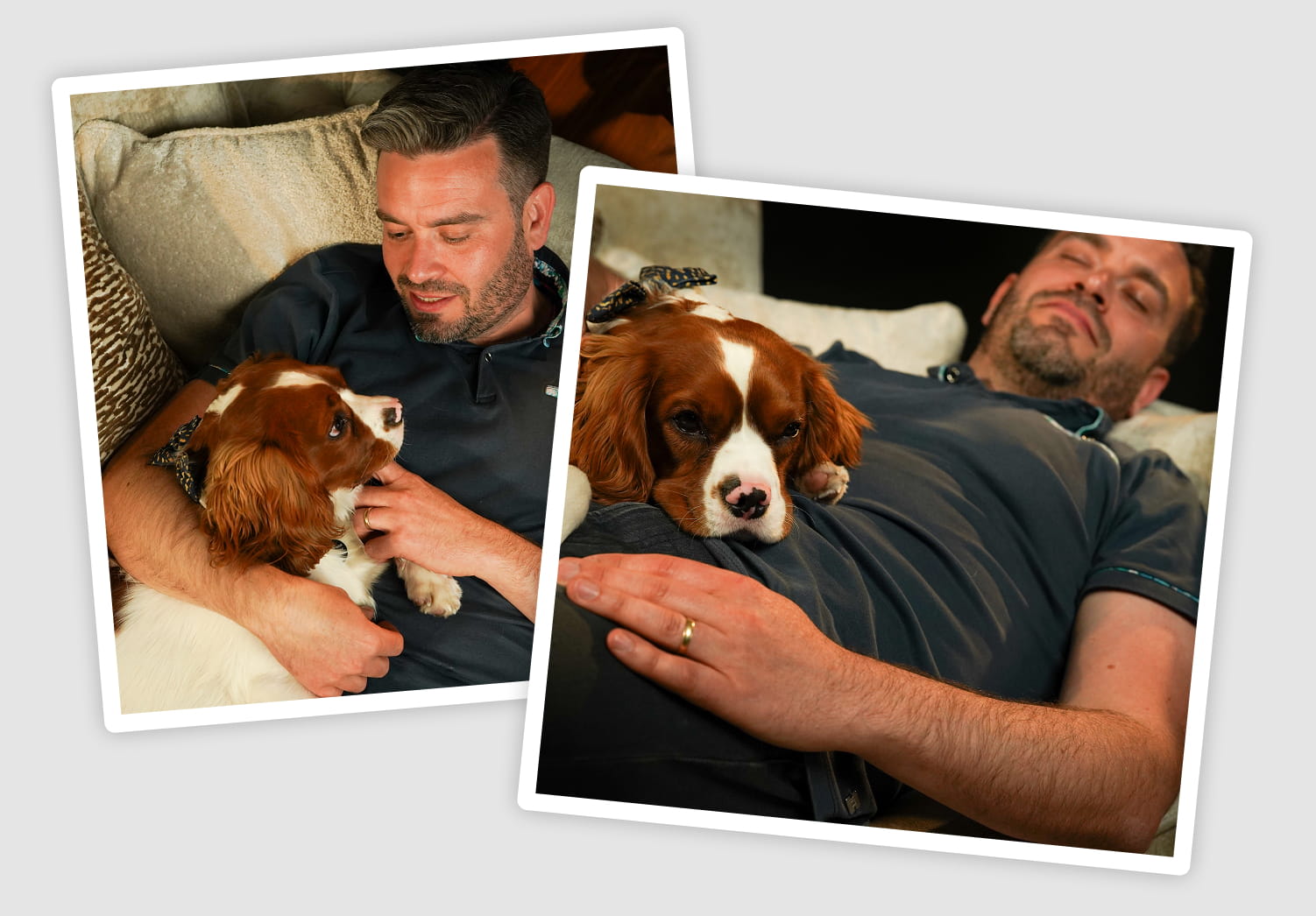 Pawternity leave: a helping paw