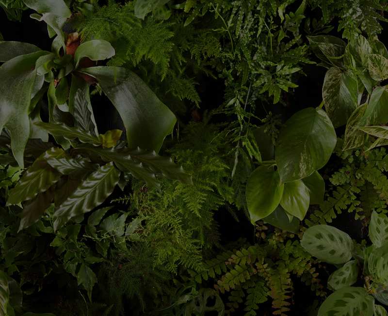 The Sustainable edit